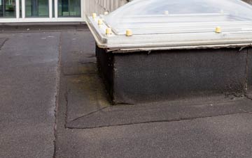 disadvantages of South Feorline flat roofs