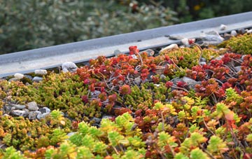 the cost of South Feorline green roof installation