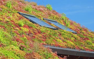 South Feorline living roof systems
